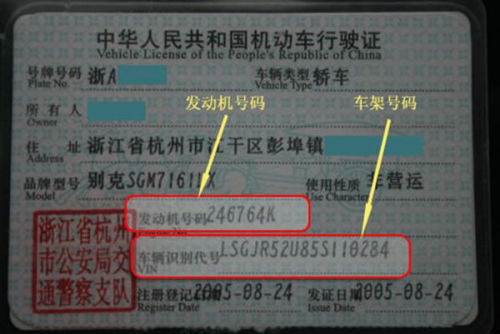 探索新型交通违规查询方式，无需发动机号也能查违章。